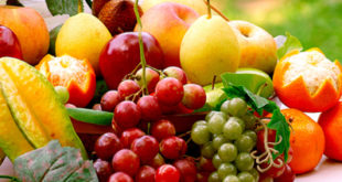 Les fruits de l’arbre de vie