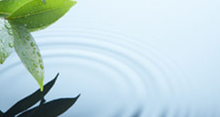 Parachat Kédochim – Comment atteindre la pureté