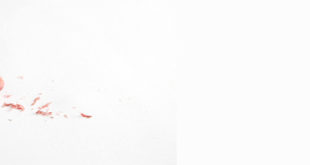 Parachat Nasso – Quand D.ieu efface Son Nom