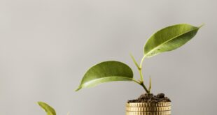 Argent sain – Temple saint – Parasha Michpatim